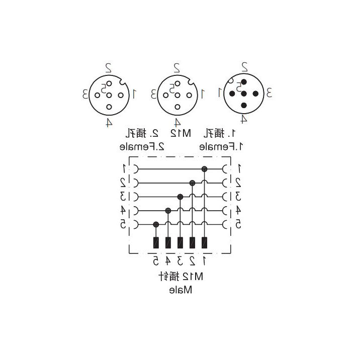 M12 5Pin male/2M12 5Pin female 、Y-connector、645551